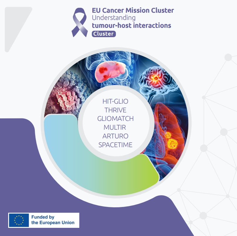 Understanding (tumour-host interactions) Cluster&nbsp;Video